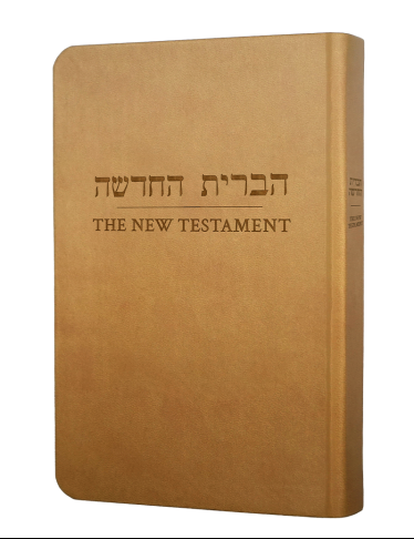 01-ESV.png